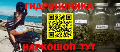 эйфоретик Обь